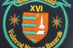 19 emblema brodata Sc. VNB 01